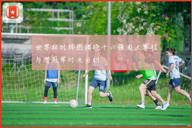 世界杯对阵图揭晓十六强淘汰赛程与潜冠军对决分析